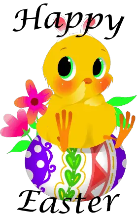 Easter Chick Easter Card